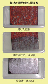 Tr@ʐ^1