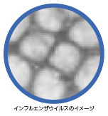 �C���t���G���U