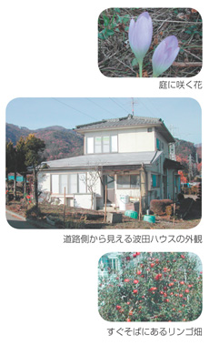 �������Ɖ�